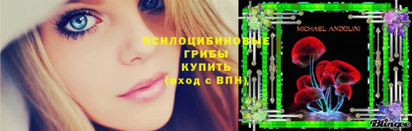 сатива Алексин